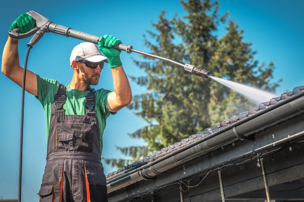Residential Roof Cleaning Services