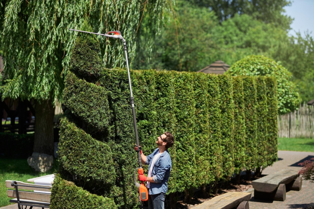 Hedge Reduction & Maintenance