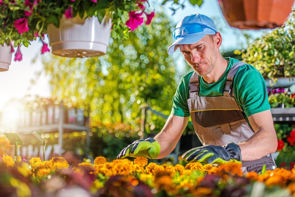 Flowers Cleaning Services in Dublin