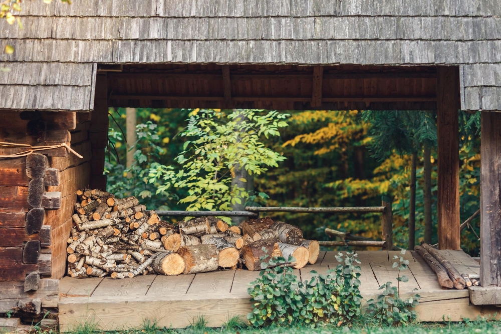 Old Garden Shed Removal
