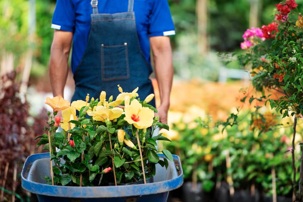 Flower Bed Services in Dublin