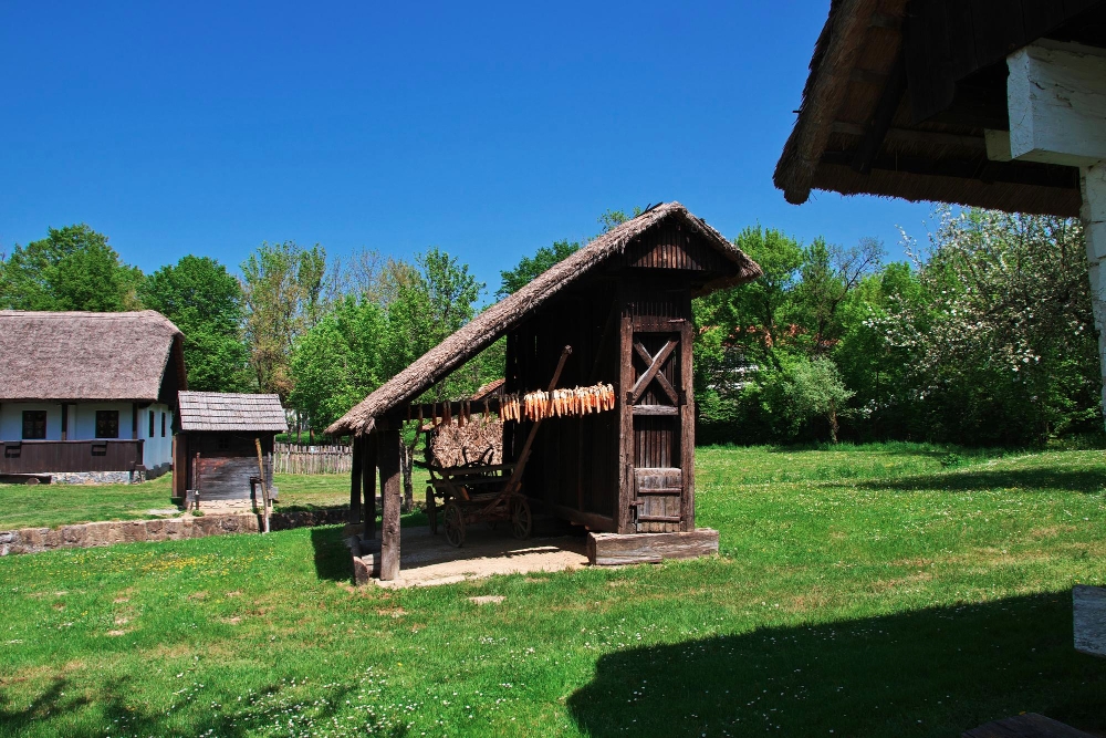 Old Garden Shed Removal