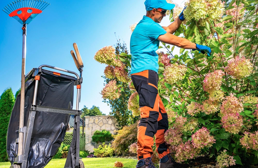 Flowers Cleaning Services in Dublin