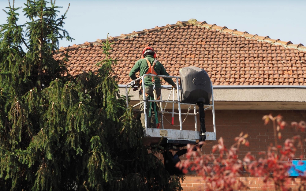 Roof Cleaning