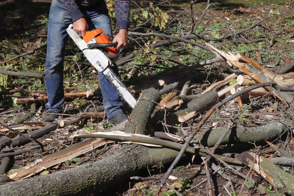 Stump Grinding Services