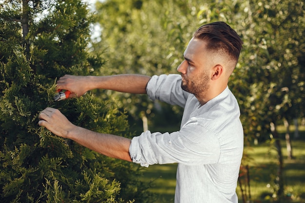 Expert Tree Crown Care for Healthier, Safer Growth