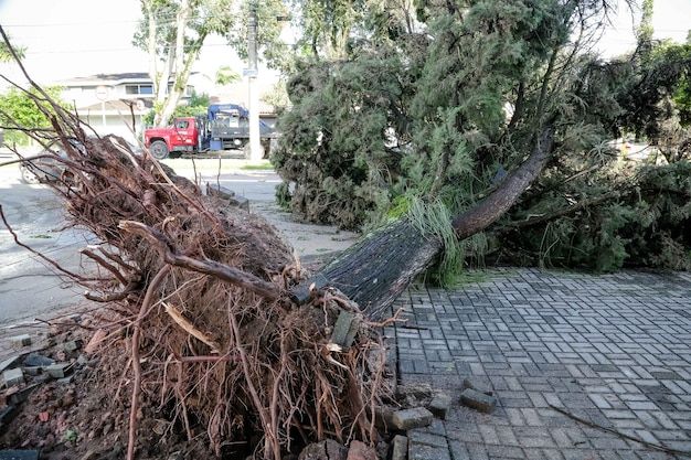 storm damage cleanup dublin-1
